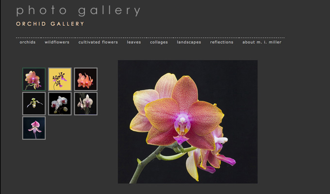 Margaret Miller Photography website